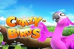 Crazy Birds screenshot